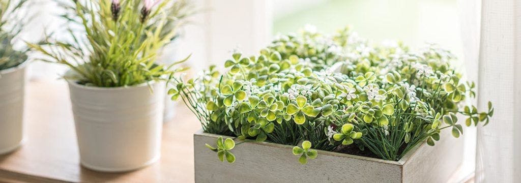 Trucos para decorar con plantas artificiales las estancias de tu casa