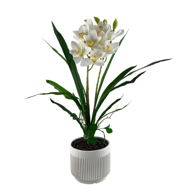 ORQUIDEA CON POTE 56X20X68CM