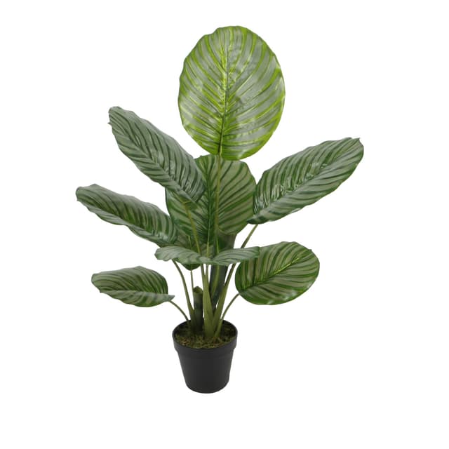 PLANTA CON POTE 60CM